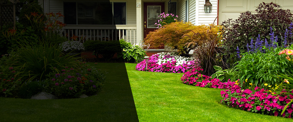 Pixley Landscapers