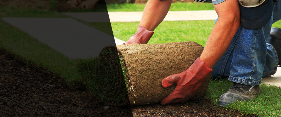 Pixley Landscapers